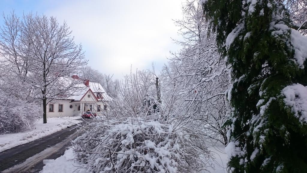 Bed and Breakfast Dwór Osmolice Bialki Dolne Exterior foto